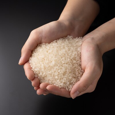 令和6年産 村の一等米コシヒカリ(精米5kg)