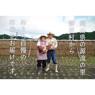 令和6年産 村の一等米コシヒカリ(精米10kg)