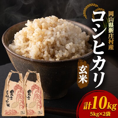 令和6年 新米 コシヒカリ 玄米 10kg 新米 令和6年 茨城県産コシヒカリ玄米10kg
