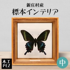 2213.木工PEZ「新庄村産標本インテリア(中)」