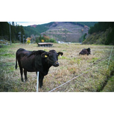 2902. 岡山県新庄村産 幻の黒毛和牛(経産牛2kg)セット