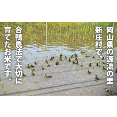 3006.令和6年産有機愛ガモ米5kg×4袋 計20Kg(玄米コシヒカリ 有機うるち玄米)