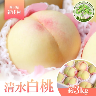 1901.岡山県産　清水白桃【約3kg】7月中旬頃より発送予定