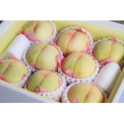1901.岡山県産　清水白桃【約3kg】7月中旬頃より発送予定
