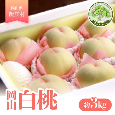1902.岡山県産 岡山白桃(川中島白桃)【約3kg】7月末頃より発送予定