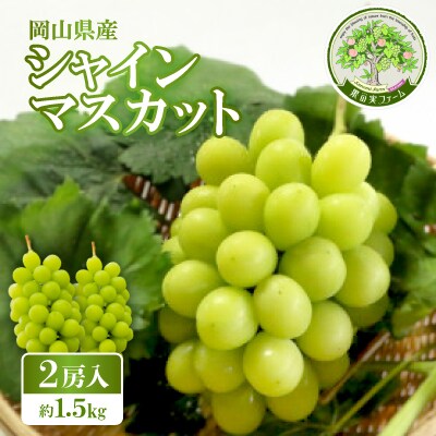 1905.岡山県産 シャインマスカット 2房入【約1.5kg】9月下旬頃より発送予定