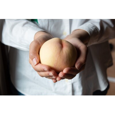 1807.岡山県産「おかやま夢白桃」約2kg|2024年7月下旬以降順次発送予定