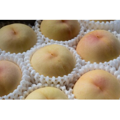 1807.岡山県産「おかやま夢白桃」約2kg|2024年7月下旬以降順次発送予定