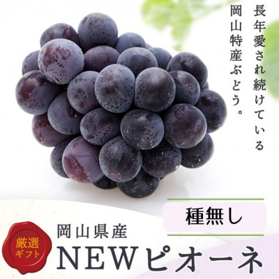 岡山県産　ニューピオーネ4房(1房480g以上)