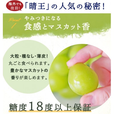 岡山県産 シャインマスカット『晴王』3～5房 (約2kg)