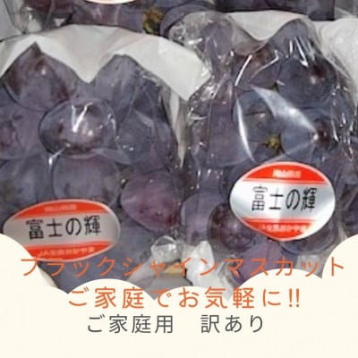 【2027年発送】ご家庭用 訳あり 岡山県産 ブラックシャインマスカット 2-4房(約1kg)