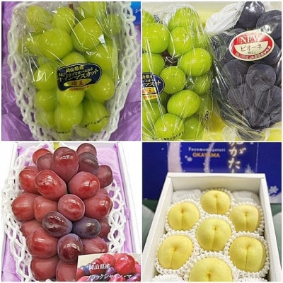 【発送月固定定期便】岡山県産 フルーツ定期便全4回