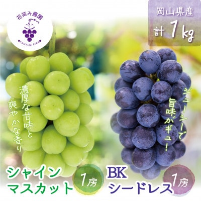 【2026年先行受付】岡山　花笑み農園の『シャインマスカット&BKシードレス』1kg(2房)BS-1