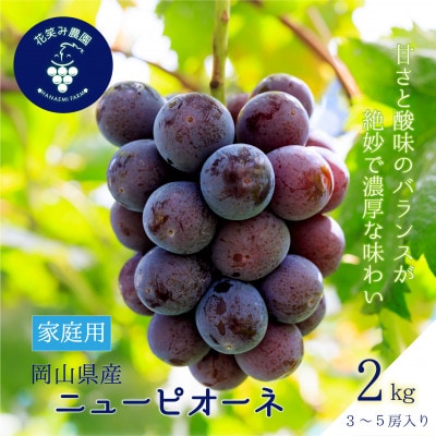 【2026年先行受付】岡山　花笑み農園の『ニューピオーネ』家庭用　約2kg(3～5房)P-2家