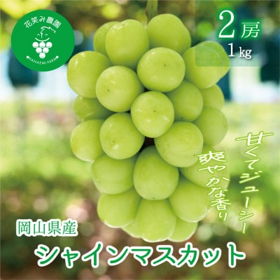 【2026年先行受付】岡山　花笑み農園の 『シャインマスカット』1kg(2房)S-1