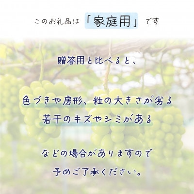 【2026年先行受付】岡山　花笑み農園の『シャインマスカット』家庭用　約2kg(3～5房)S-2家