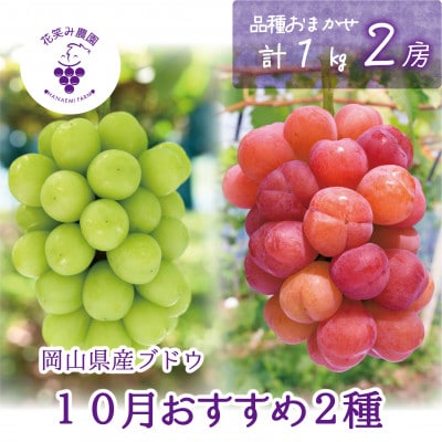 【2026年先行受付】岡山　花笑み農園のブドウ『10月おすすめ 2種セット』1kg　2M-1L