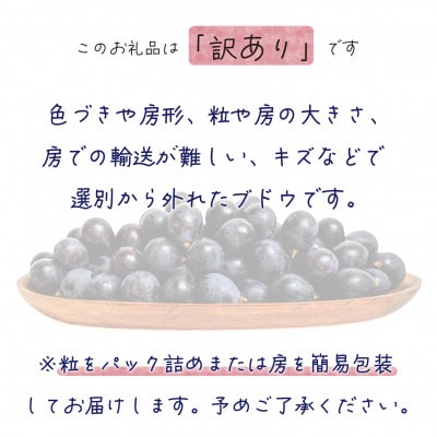 【2026年先行受付】岡山　花笑み農園のブドウ『訳ありBKシードレス』1kg　WB-1