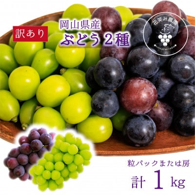 y2026NstzR@ԏ΂ݔ_̃uhEw󂠂2MIXx1kg@W2M-1