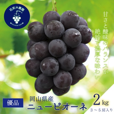 【2026年先行受付】岡山　花笑み農園の『ニューピオーネ』優品　約2kg(3～5房)P-2優
