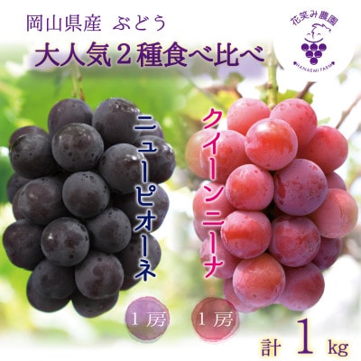 【2026年先行受付】岡山　花笑み農園の『ニューピオーネ&クイーンニーナ』1kg(2房)PQ-1