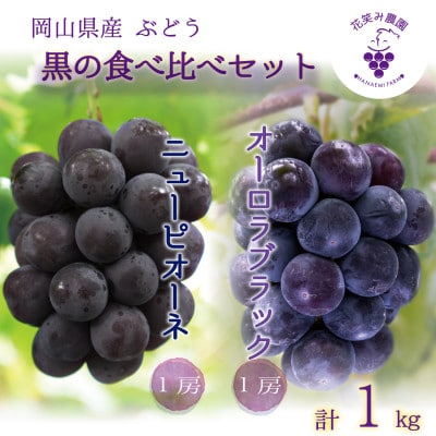 【2026年先行受付】岡山　花笑み農園の『ニューピオーネ&オーロラブラック』1kg(2房)PA-1