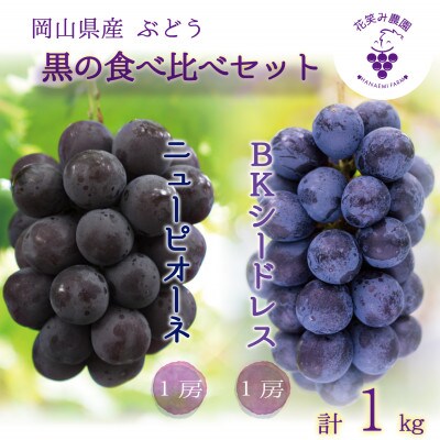 【2026年先行受付】岡山　花笑み農園の『ニューピオーネ&BKシードレス』1kg(2房)PB-1