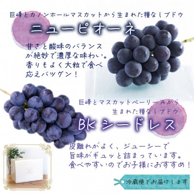 【2026年先行受付】岡山　花笑み農園の『ニューピオーネ&BKシードレス』1kg(2房)PB-1