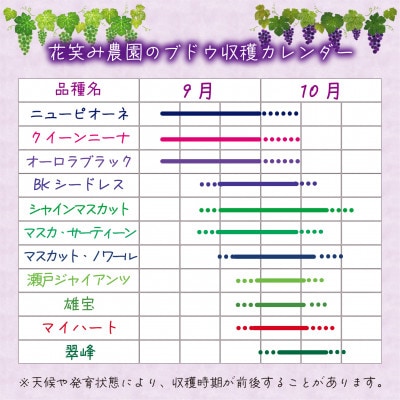 【2026年先行受付】岡山　花笑み農園の『ニューピオーネ&BKシードレス』1kg(2房)PB-1