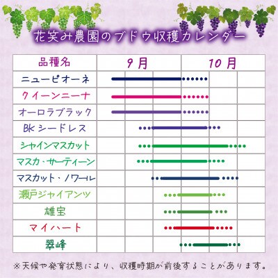 【2026年先行受付】岡山　花笑み農園の『シャインマスカット』優品　約2kg(3～5房)S-2優