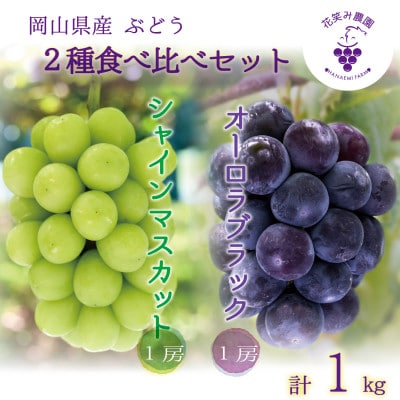 【2026年先行受付】岡山　花笑み農園の『オーロラブラック&シャインマスカット』1kg　AS-1