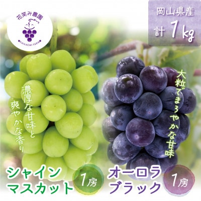 【2026年先行受付】岡山　花笑み農園の『オーロラブラック&シャインマスカット』1kg　AS-1