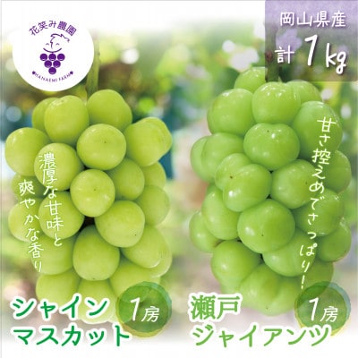 【2026年先行受付】岡山　花笑み農園の『瀬戸ジャイアンツ&シャインマスカット』1kg　GS-1