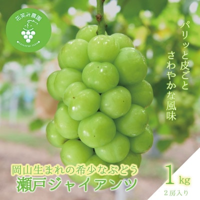 【2026年先行受付】岡山　花笑み農園の『瀬戸ジャイアンツ』1kg(2房)　G-1