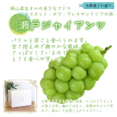 【2026年先行受付】岡山　花笑み農園の『瀬戸ジャイアンツ』1kg(2房)　G-1