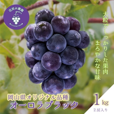 【2026年先行受付】岡山　花笑み農園のブドウ『オーロラブラック』1kg(2房)　A-1