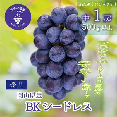 【2026年先行受付】岡山　花笑み農園の『BKシードレス』500g以上(中1房)　B-中1