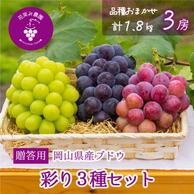 【2026年先行受付】岡山　花笑み農園のブドウ『彩り3種セット』贈答用　1.8kg(3房)3M-2上