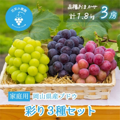 【2026年先行受付】岡山　花笑み農園のブドウ『彩り3種セット』家庭用　1.8kg(3房)3M-2家