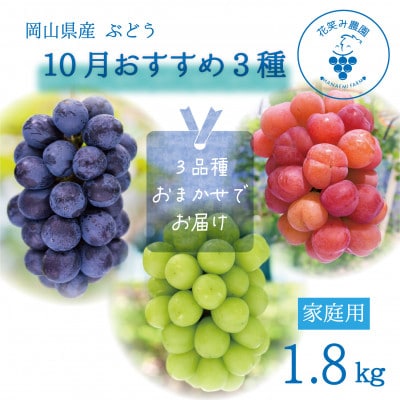 【2026年先行受付】岡山　花笑み農園の『10月おすすめ3種』家庭用　1.8kg(3房)3M-2L家