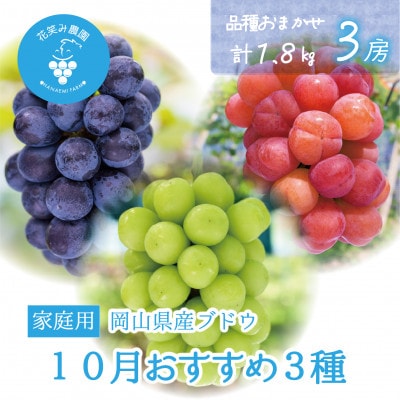 【2026年先行受付】岡山　花笑み農園の『10月おすすめ3種』家庭用　1.8kg(3房)3M-2L家