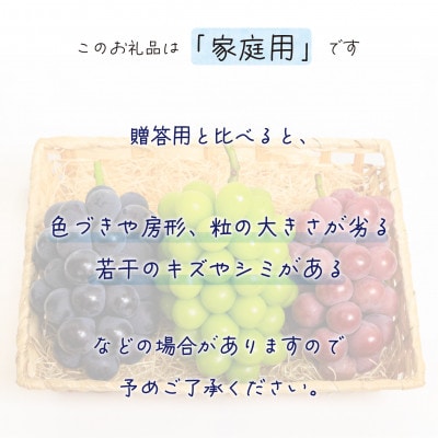 【2026年先行受付】岡山　花笑み農園の『10月おすすめ3種』家庭用　1.8kg(3房)3M-2L家