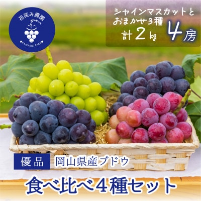 【2026年先行受付】岡山　花笑み農園の『食べ比べ4種』シャイン入り　優品　2kg(4房)4M-2優
