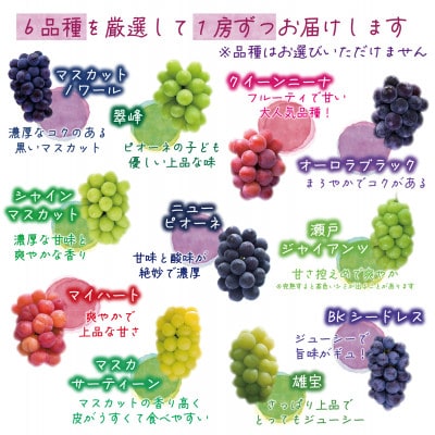 【2026年先行受付】岡山　花笑み農園のブドウ『食べ比べ6種セット』6M-5