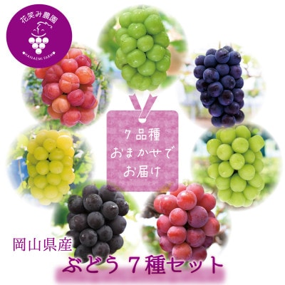 【2026年先行受付】岡山　花笑み農園のブドウ『食べ比べ7種セット』7M-5