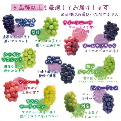 【2026年先行受付】岡山　花笑み農園『ブドウの宝石箱』3種以上(18粒入り)　3M-宝18