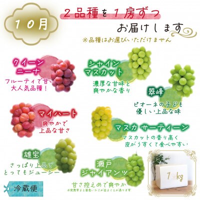 【発送月固定定期便】岡山　花笑み農園のブドウ食べ比べ　全4種全2回