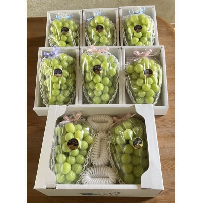 岡山産　高級シャインマスカット2房1.2kg以上 糖度18度以上