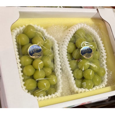 訳アリ　家庭用　糖度18度以上　つみ落としシャインマスカット 計1キロ以上