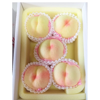 岡山市　一宮産　岡山白桃　5～6玉入り　1.5キロ 化粧箱入り